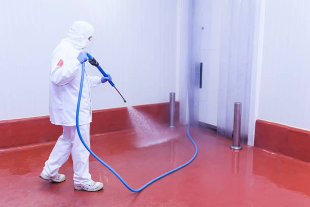 Best Solar Panel Cleaning  in San Juan, TX